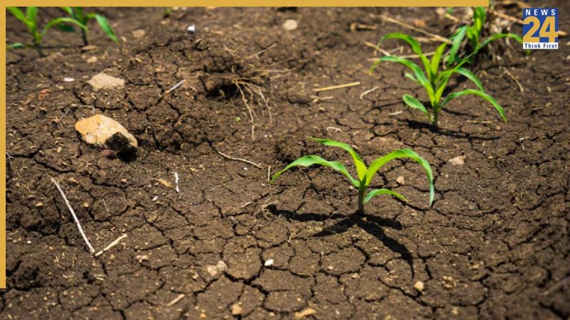 Soil Needs Help More