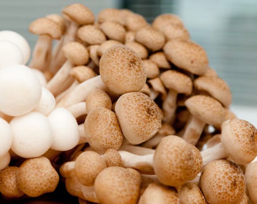 vitamin d foods-1-2-3