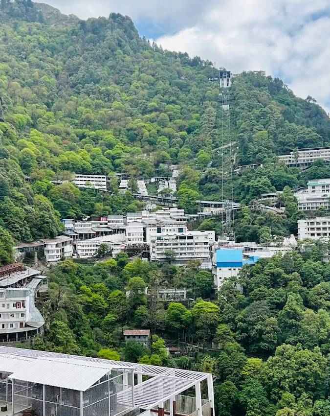 दिव्यांगों को प्राथमिकता 