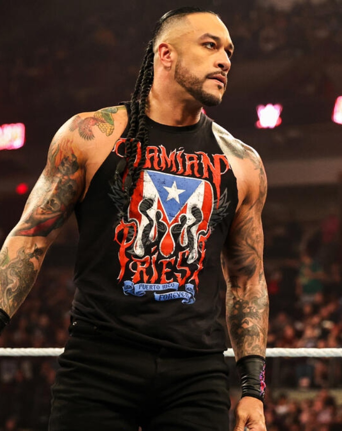 WWE -1-2-3-4-5-6-7-8