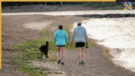 Walking speed and heart health