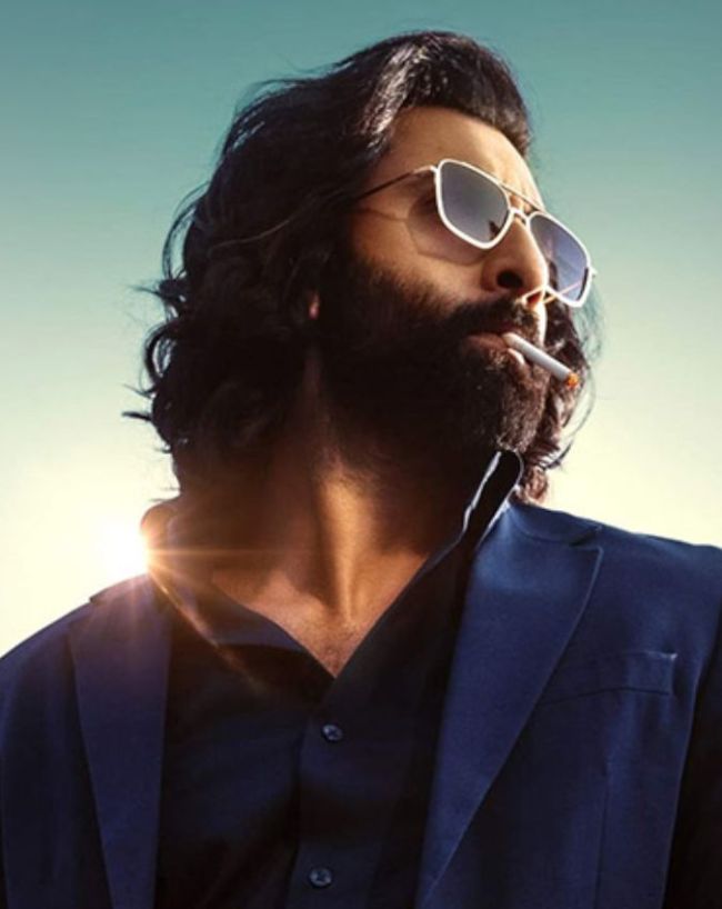 dhurandhar 2 defeat animal-1-2-3