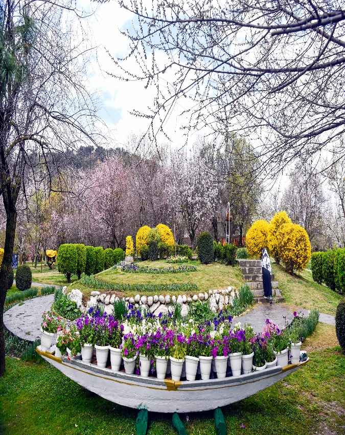 जल्दी फूल खिलने से बढ़ा टूरिज्म