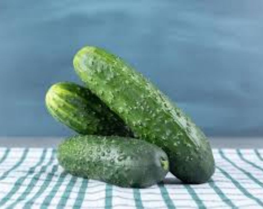 Cucumber End Rubbing Is Useful-1-2-3-4