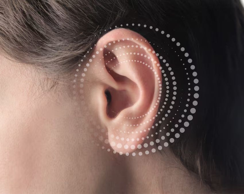 Hearing Loss Disease-1-2-3