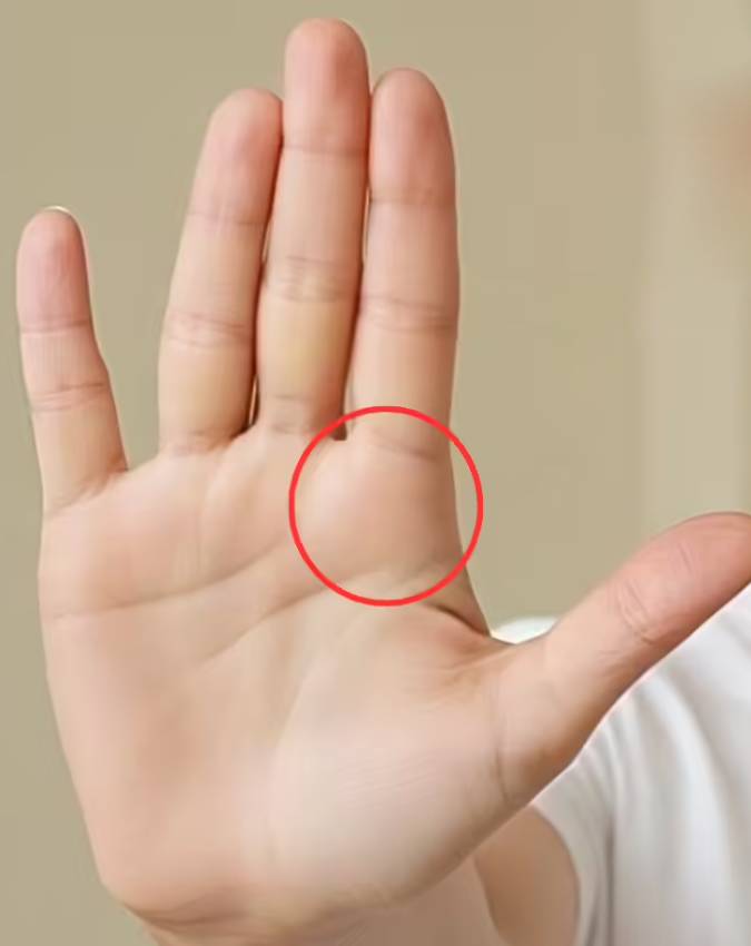 Palmistry-Secrets-1-2-3-4