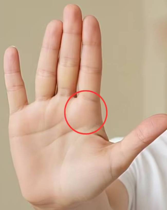 Palmistry-Secrets-1-2-3-4