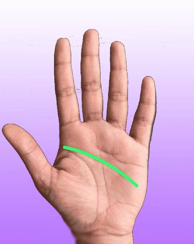 Palmistry-Secrets-1-2-3