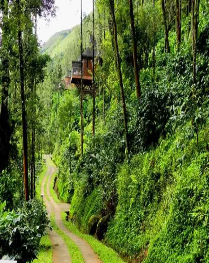 कूर्ग - भारत का अपना स्कॉटलैंड