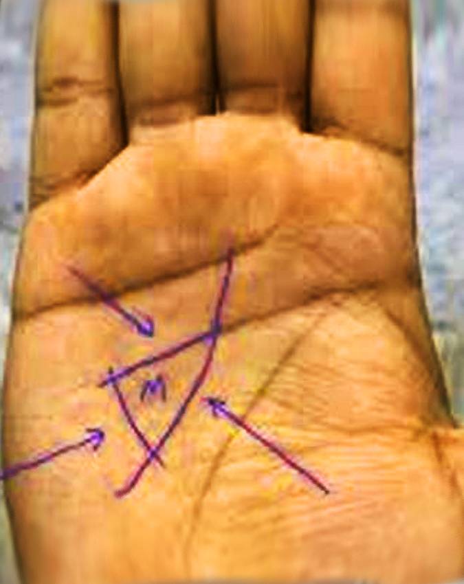 Palmistry-Secrets-1-2-3-4-5