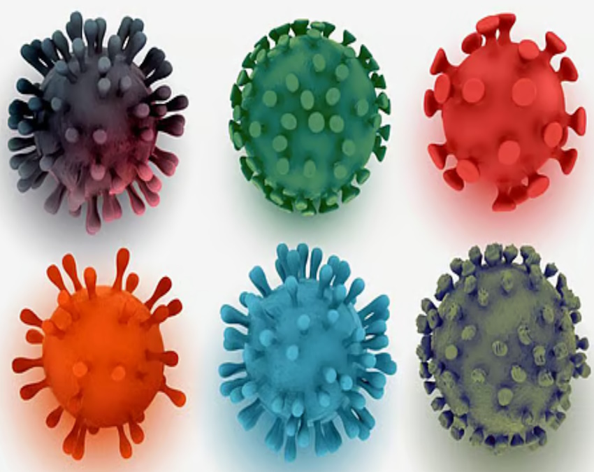 new COVID variant-1-2