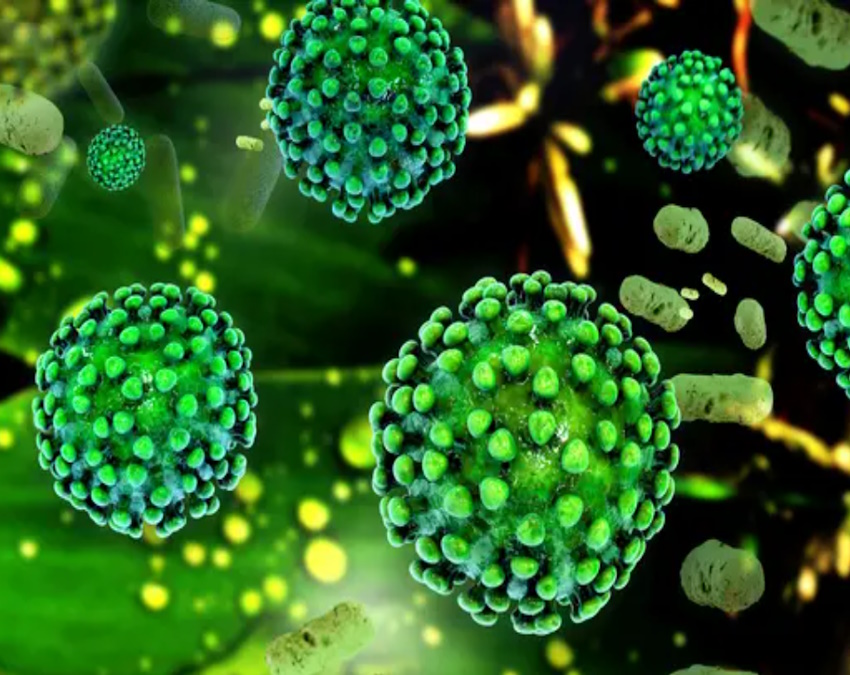 new COVID variant-1-2-3