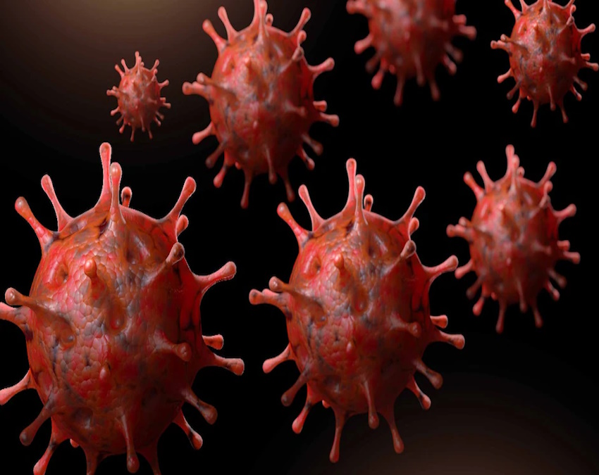 new COVID variant-1-2-3-4-5-6