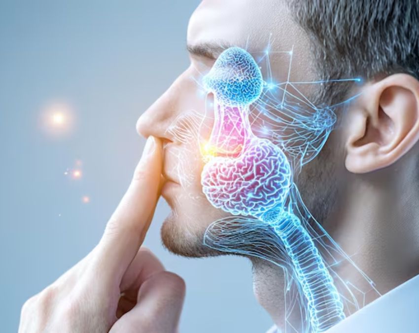 reasons of nose nasal polyps-1-2-3-4-5-6