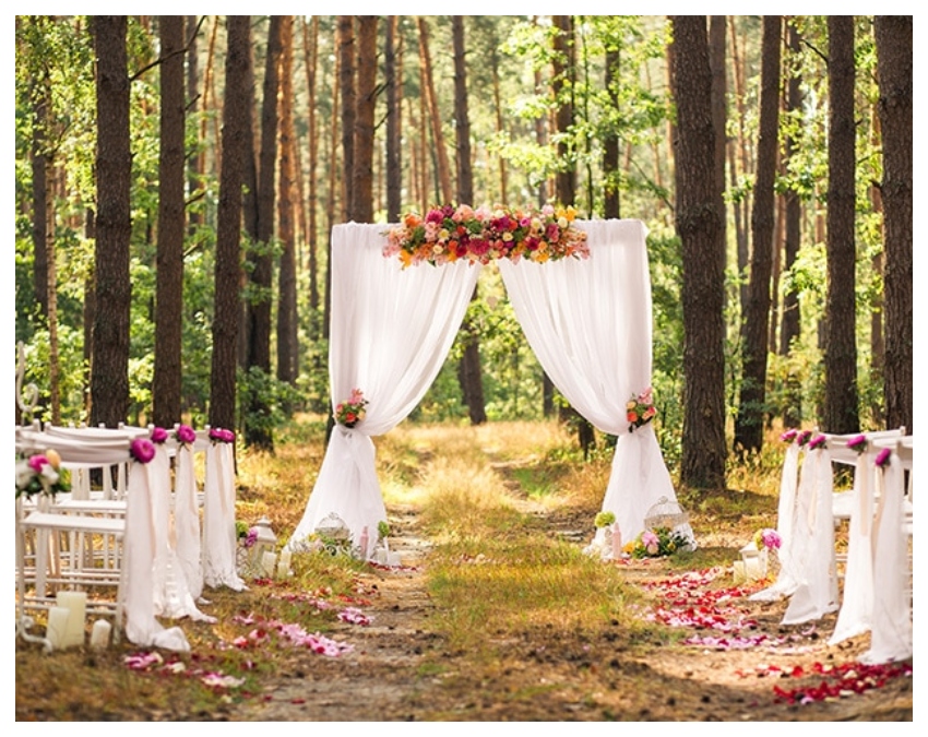 LPG.jpg (4) -1-2-3-4