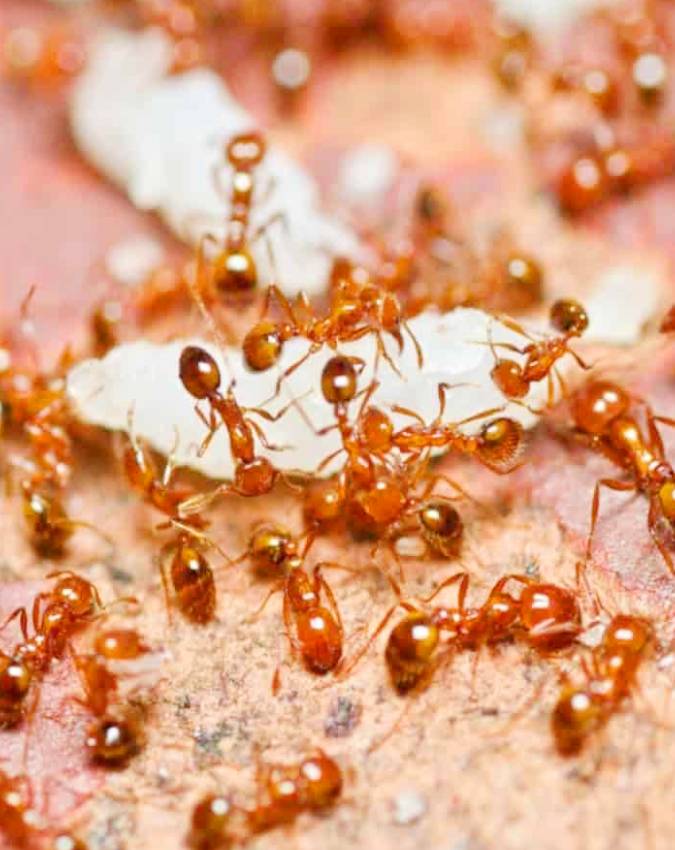 Hindu-Beliefs-1-2-3-4-5-6