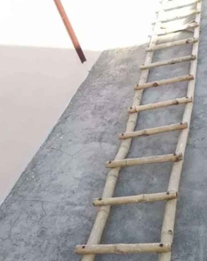सीढ़ी को इंग्लिश में क्या कहते हैं?