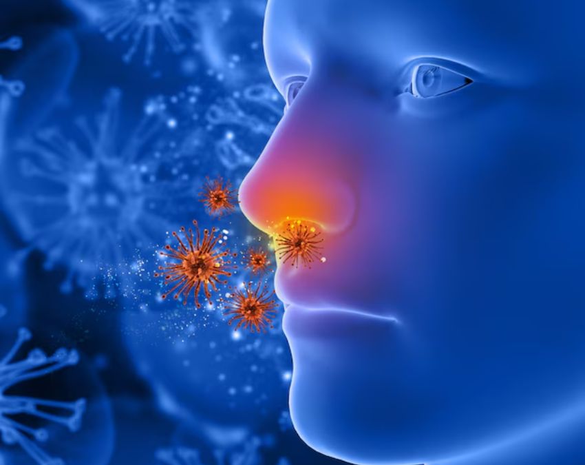 reasons of nose nasal polyps-1-2-3-4-5