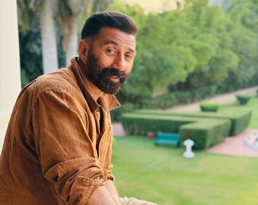 सनी देओल की 'जाट' ने कितने का किया था कलेक्शन 