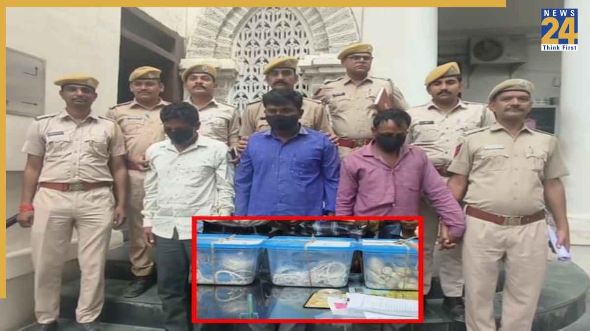 udaipur news