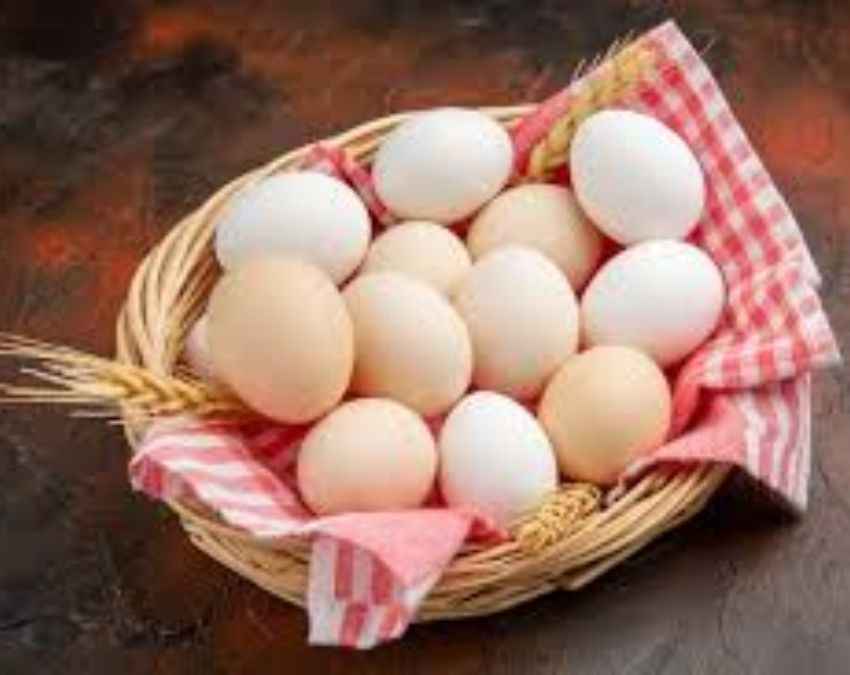 अंडा 
