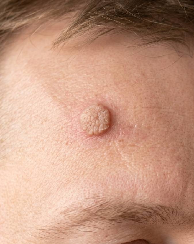 Samudrik-Shastra-1-2-3