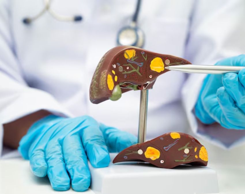 Where do cancer lumps appear-1-2-3-4-5-6