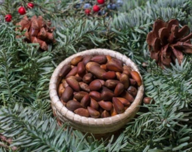 Chilgoza Dry Fruits Price-1-2-3-4