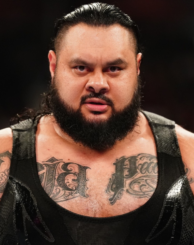 WWE -1-2-3-4-5-6-7-8-9-10-11