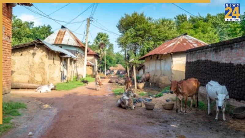 Bharat Mein Holi Kaha Nahi Manate