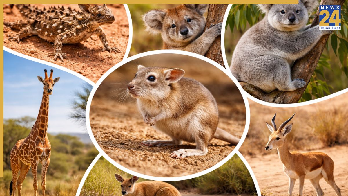 animals living without drinking water-1