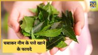 neem ke patte khane se bachcho ke dimag asar