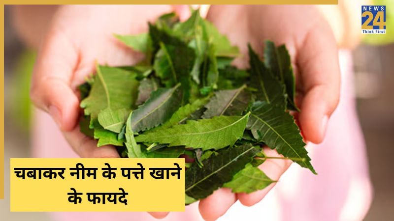 neem ke patte khane se bachcho ke dimag asar