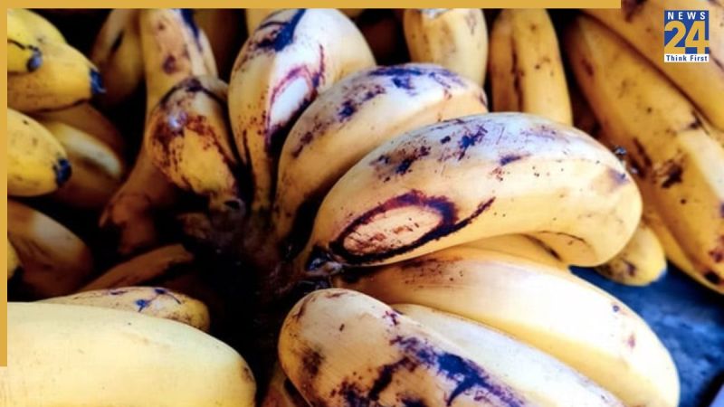 Kele Ko Store Karke Kaise Rakhe Kele Ko Store Karke Kaise Rakhe