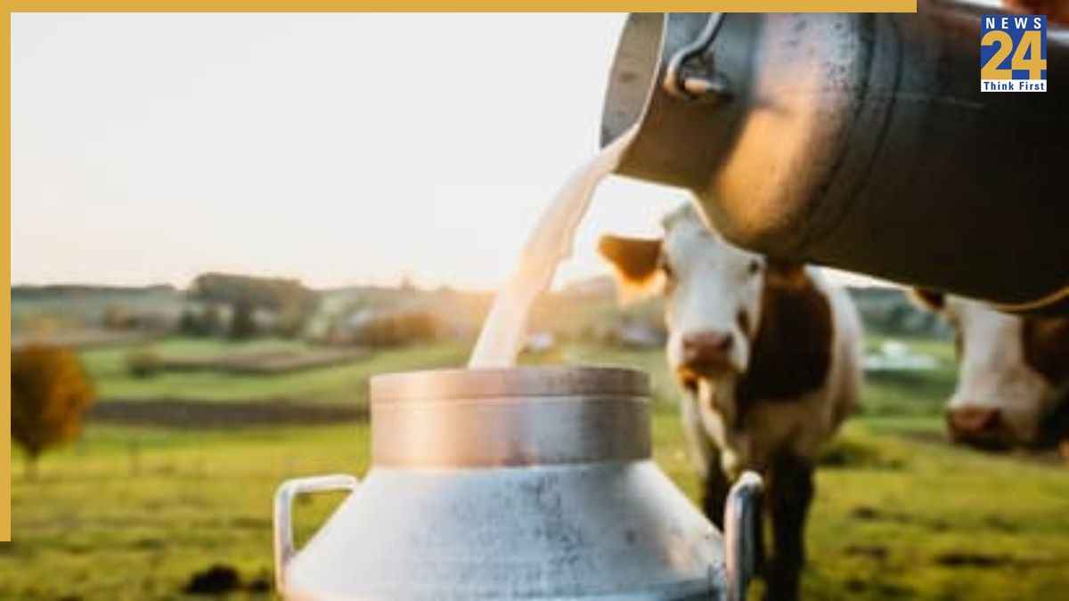 Amul milk price USA Amul milk price USA