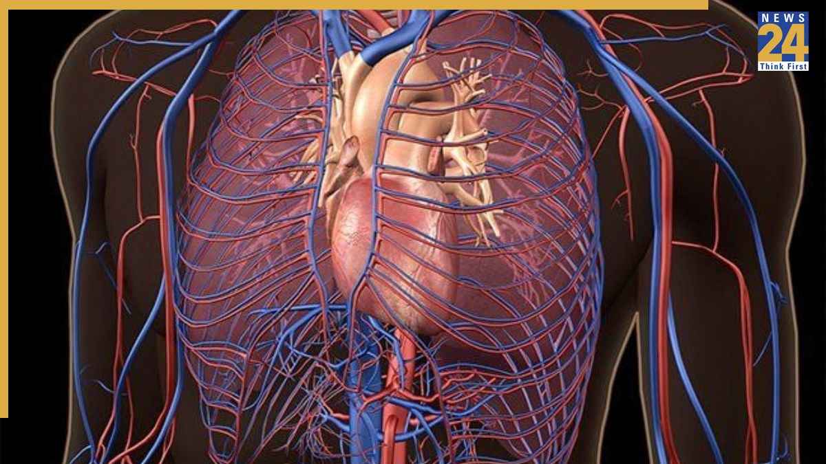 30 days Meat fasting effects on body