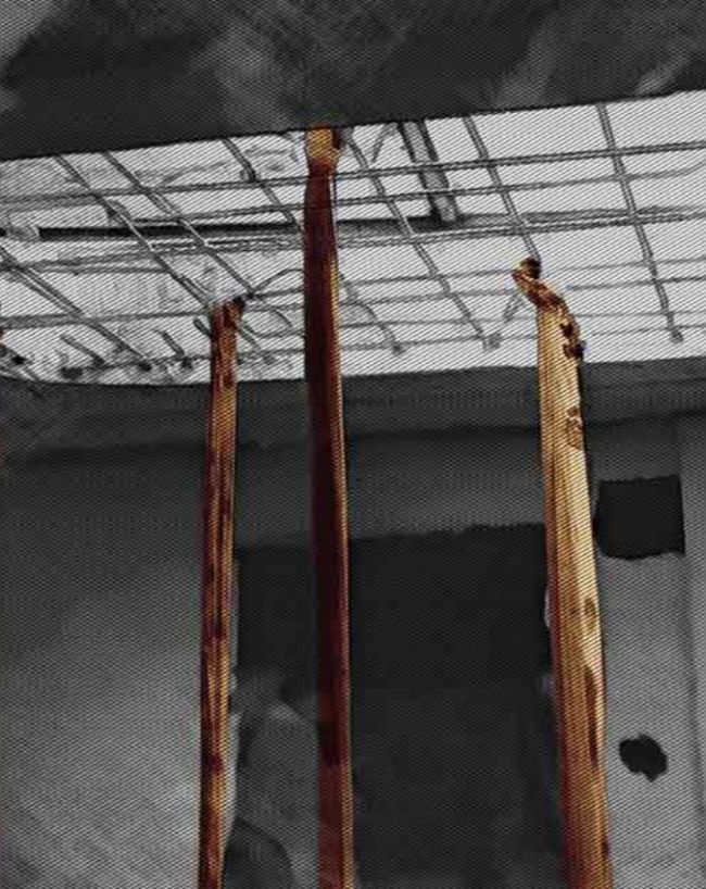 House of Secrets The Tyari Murders-1-2-3