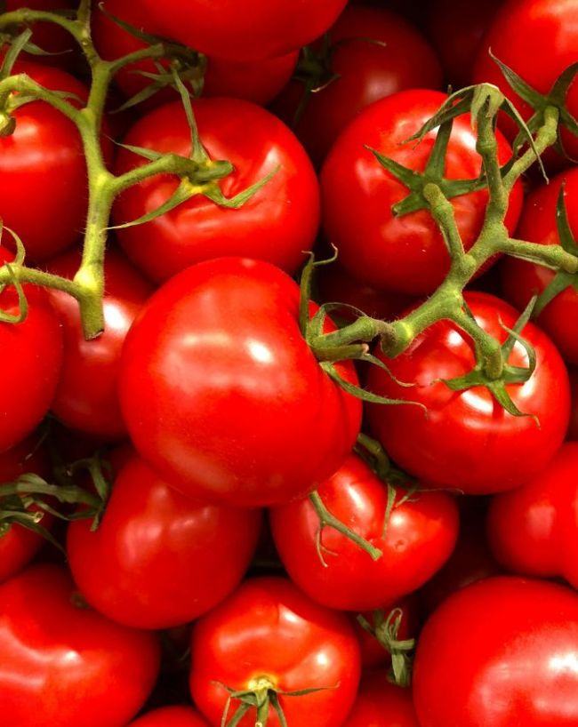 Vegetables that reduce gas-1-2-3-4