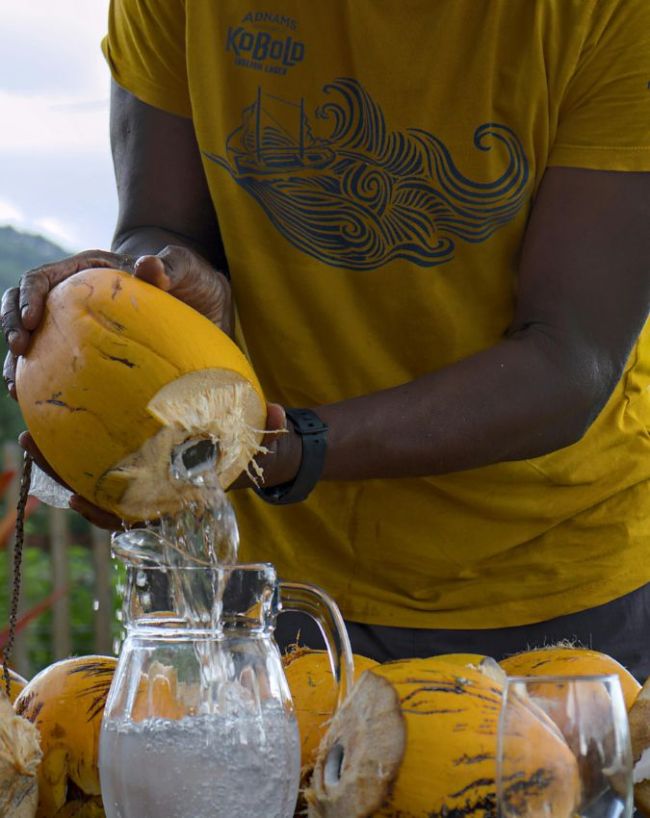 5 People Who should not drink coconut water-1-2-3-4