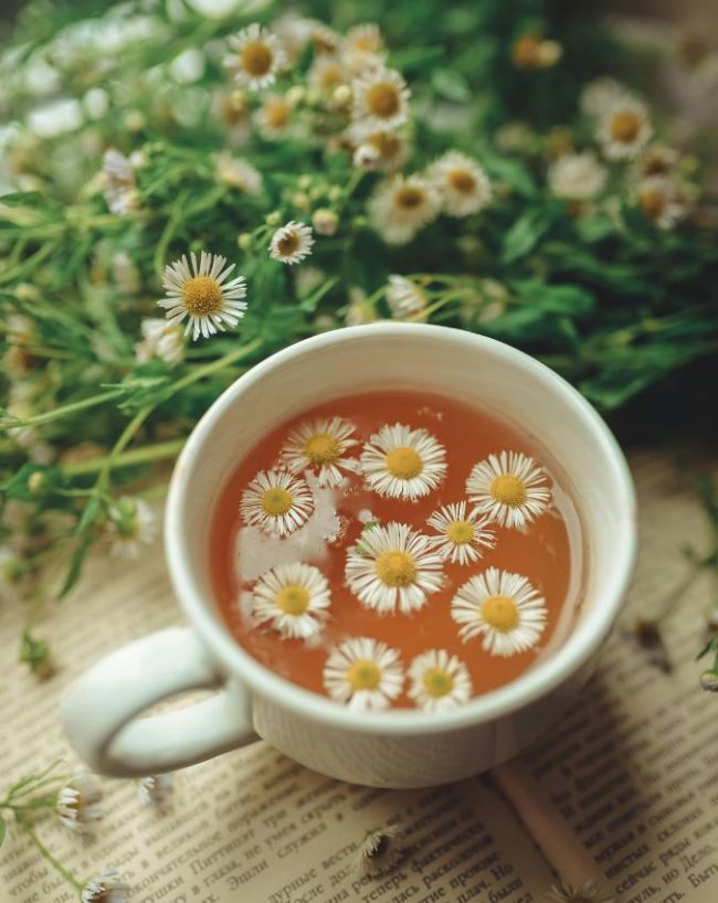 Which is the best drink before bed-1-2-3