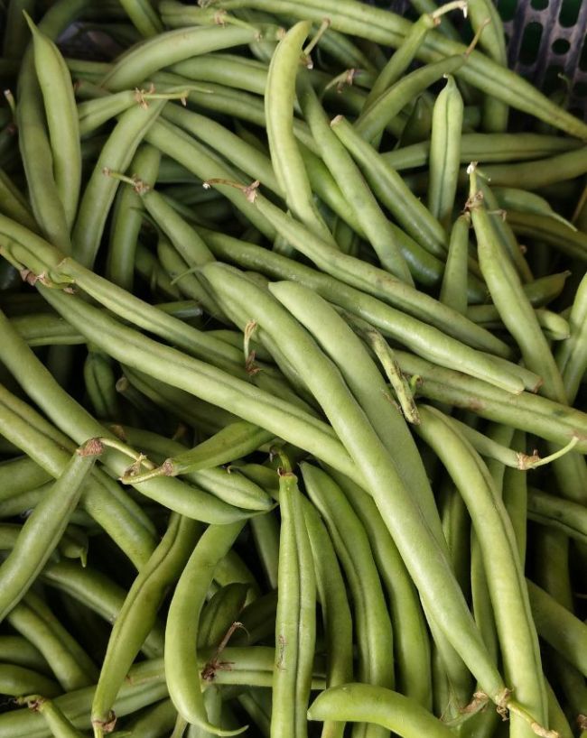 Vegetables that reduce gas-1-2-3-4-5