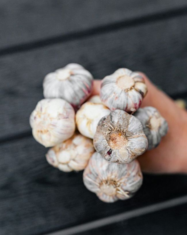 dant sadh jaye to kya kare-1-2-3-4