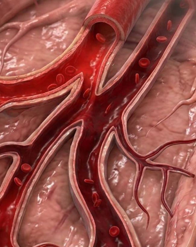 Curry Leaves Benefits-1-2-3