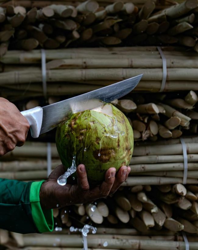 5 People Who should not drink coconut water-1-2-3