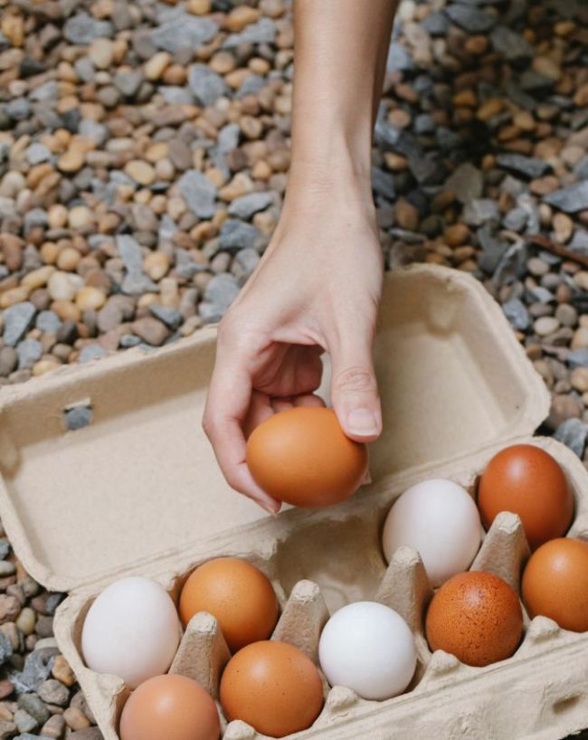 benefits of eating eggs daily-1-2-3-4-5-6