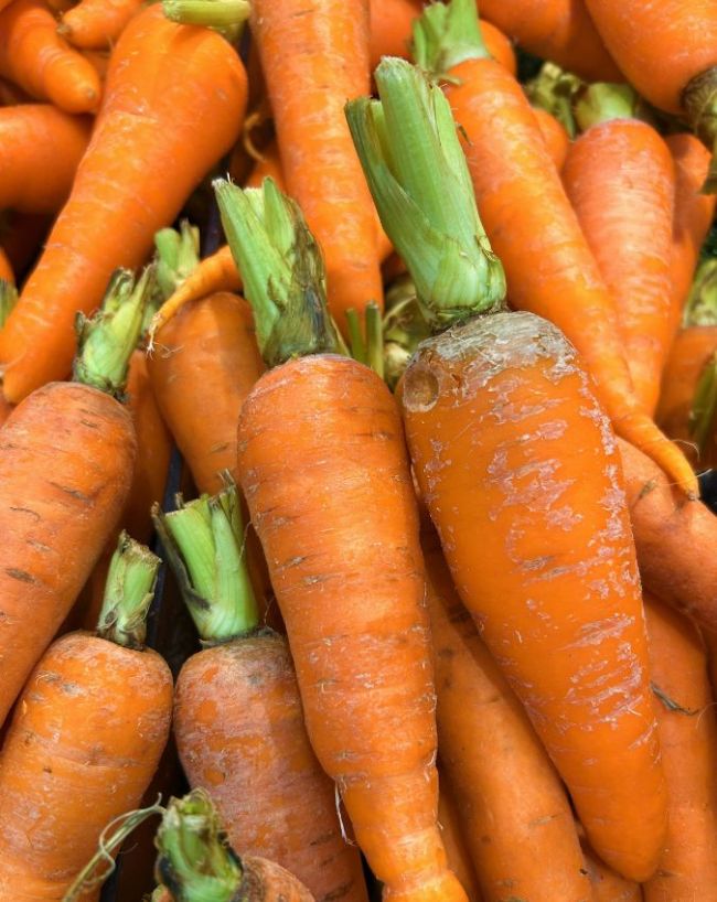 Vegetables that reduce gas-1-2-3