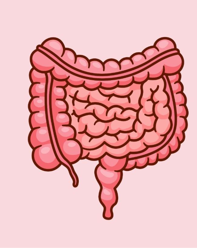 nabhi ke peeche kaun sa ang hai-1-2