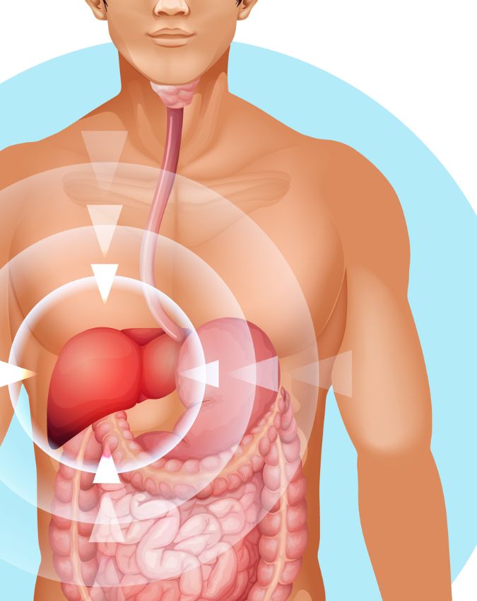 Fatty liver ke lakshan Fatty liver symptoms in hindi-1-2-3-4