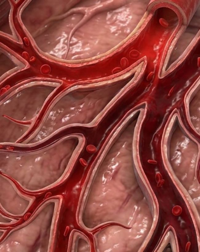 Jeera water Benefits-1-2-3-4-5