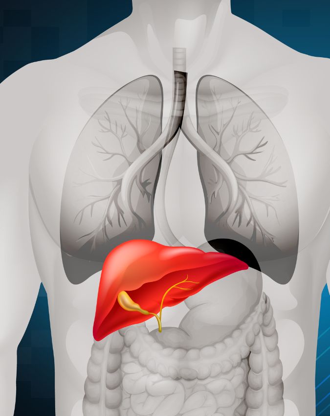 Fatty liver ke lakshan Fatty liver symptoms in hindi-1-2-3-4-5-6-7